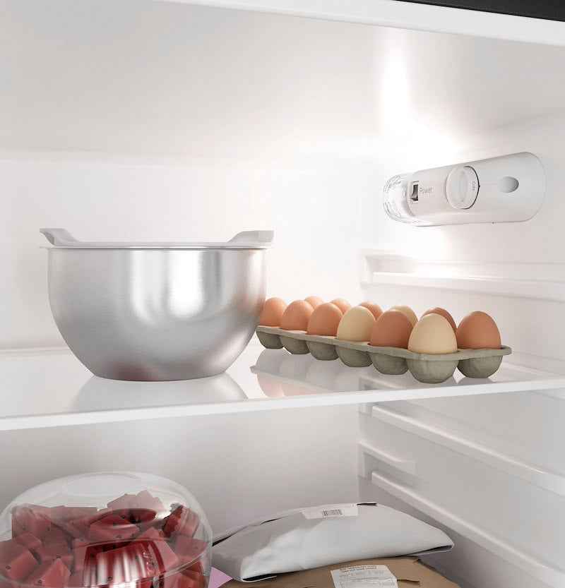 GE Profile 9.8 Cu. Ft. 12V DC Refrigerator with Freezer – PPV10R5YRBB