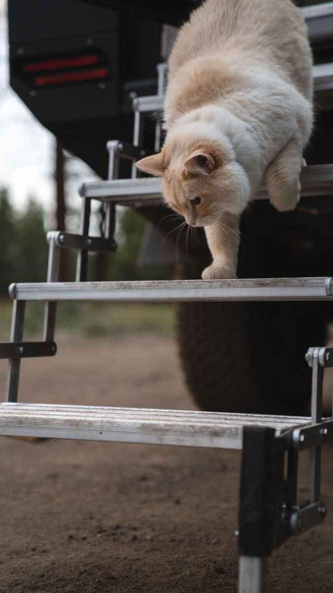 Torklift GlowStep – 4-Step Manual Folding Entry System – A7804